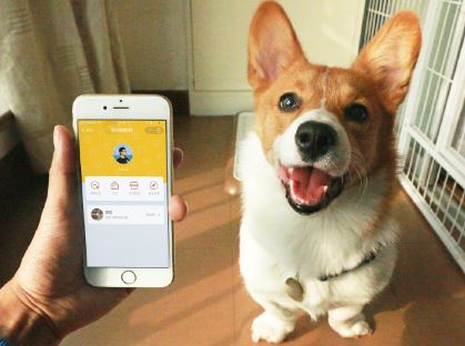 �ی���ʿ�ĸ�����֧��������a