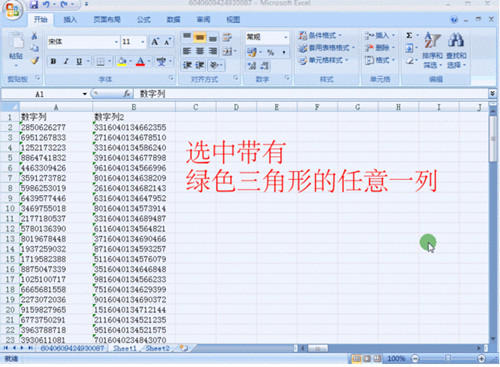 �D��Excel�̌W