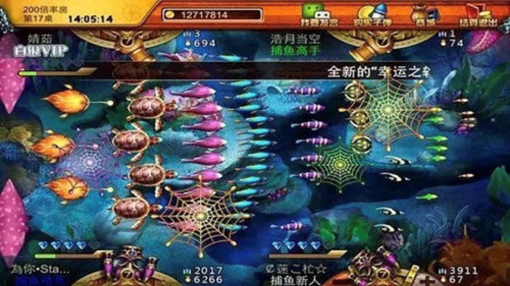 qq���~���ˢ���ŵȼ��������d