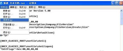 exe�ļ��o(w��)�����_(k��i)���P(gu��n)(li��n)�ļ���ô�k��