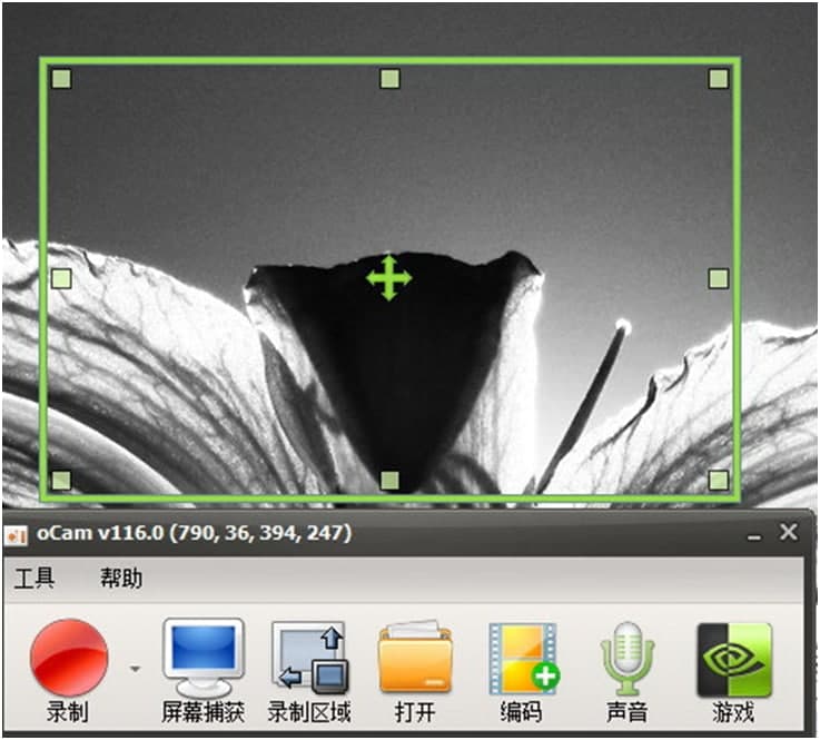 ocam��Ļ�����X�湦�����c(di��n)��ʹ�ý̳�